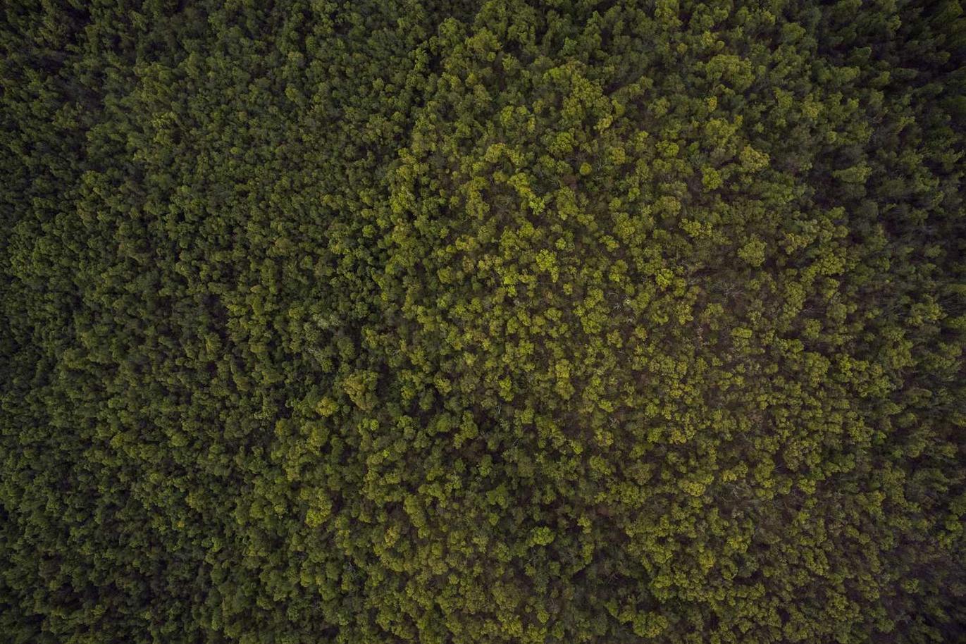 Et deserunt sint quasi